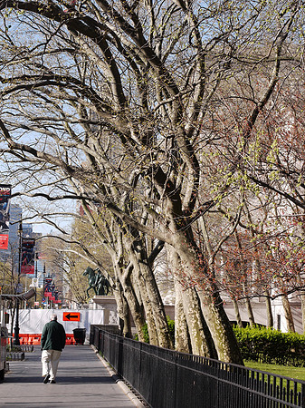 Central Park West