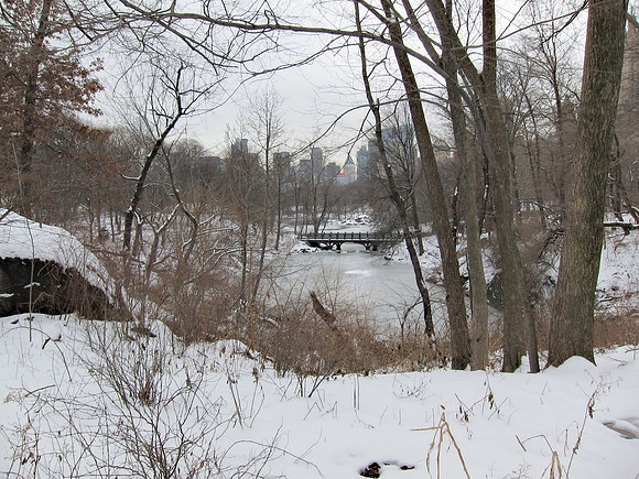 Upper lobe of Central Park Lake and Bankrock Bridge, winter