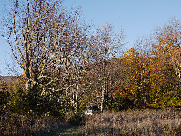 Prattsville, NY