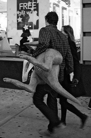 Walking the Kangaroo