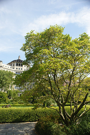 Central Park Conservancy Garden