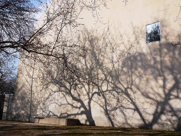 Ways of looking at trees