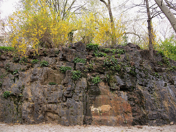 Carl Schurz Park