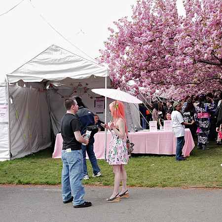 Hanami:  zombie unicorns