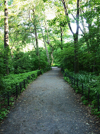 Path, Central Park