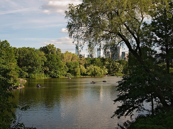 The Lake, Central Park