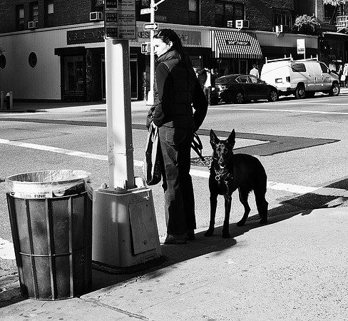 Madison Avenue