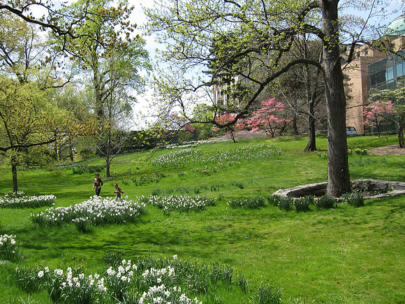 NY Botanical Garden