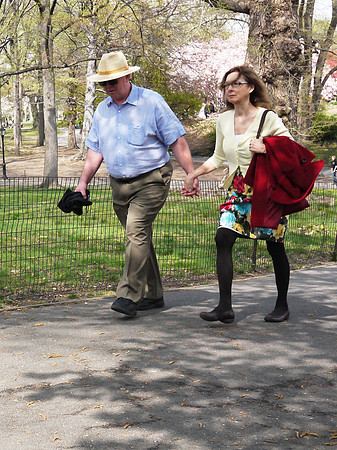 Central Park, Sunday Afternoon
