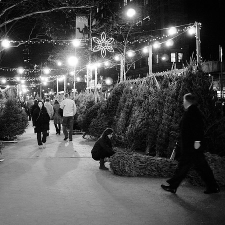 Christmas Tree stand, Columbus Avenue and 81st Street