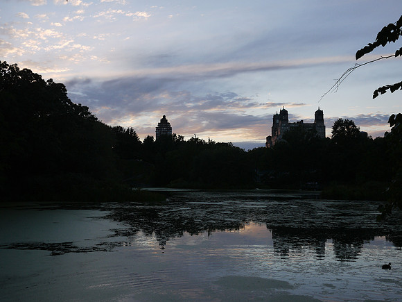 Turtle Pond