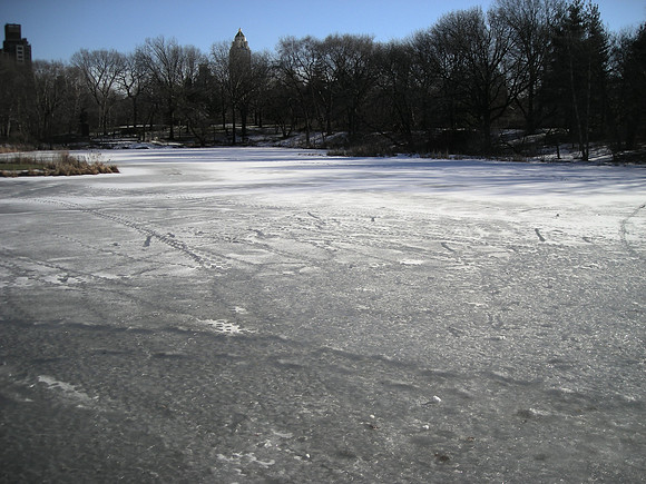 Turtle Pond, iced over