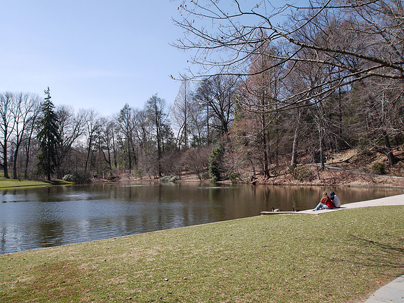 The Large Lake, Longwood