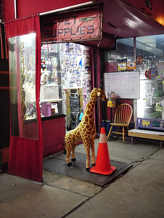Pet Supplies