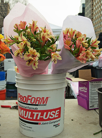 Flowers for sale, Union Square Greenmarket