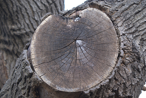 form and texture