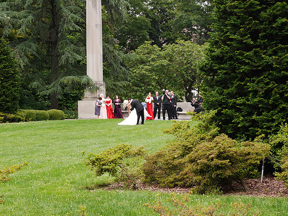 Brooklyn Botanic Garden