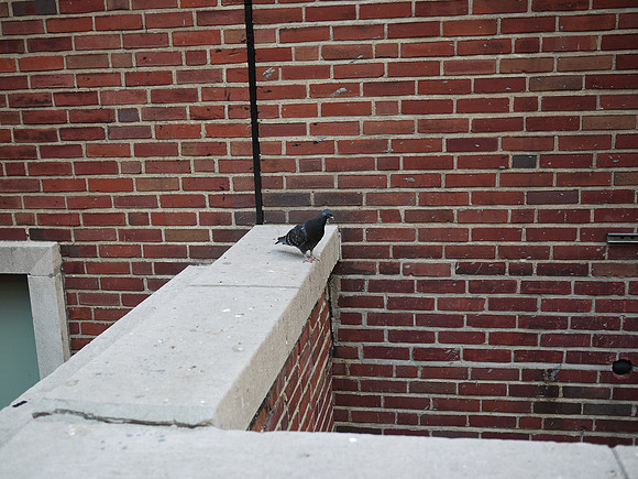 Outside Sloan-Kettering