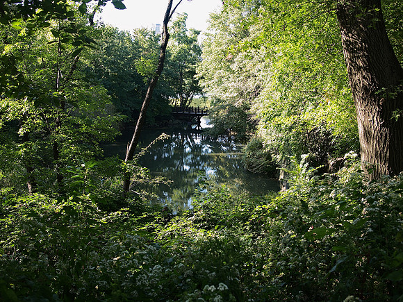 Bankrock Bridge, Central Park