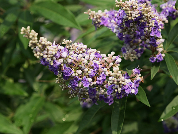 Everything is quite correct