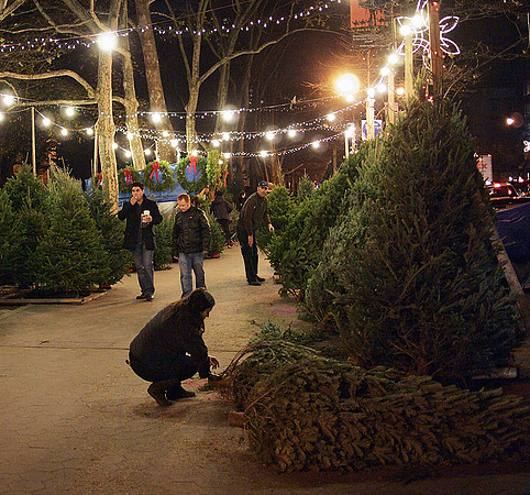Christmas Tree stand, Columbus Avenue and 81st Street