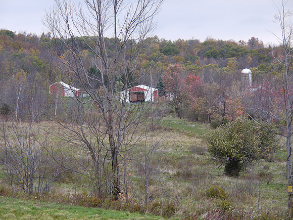 Beshroner Road