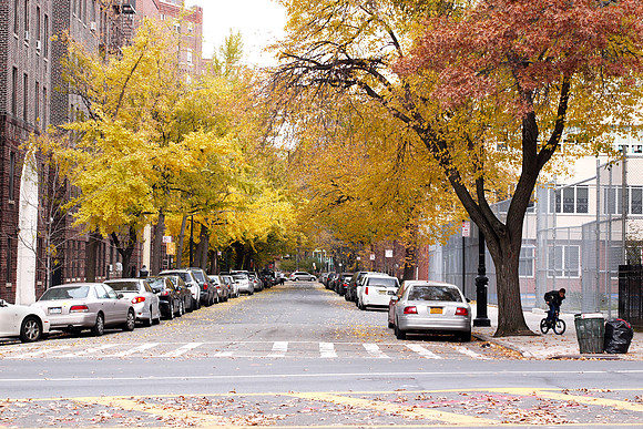 Sedgwick Avenue, Bronx NY