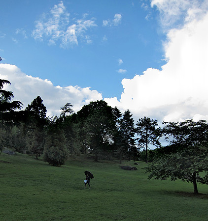 Cedar Hill, Central Park