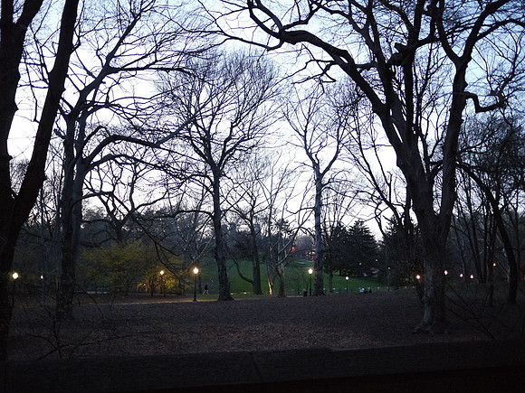 Cedar Hill, dusk