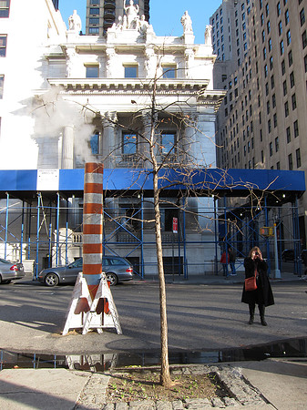 At Madison Square