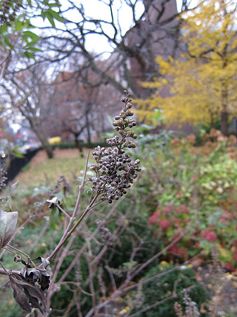 Theodore Roosevelt Park