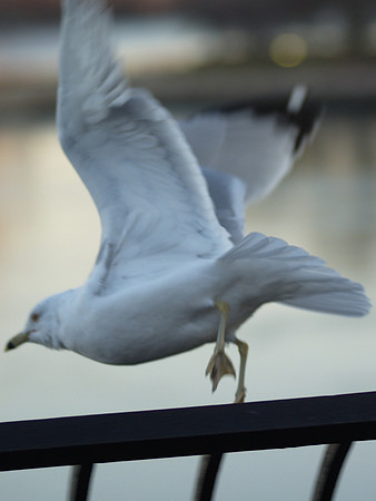 cleared for takeoff