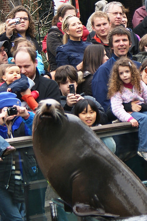 can't something be done about these paparazzi?