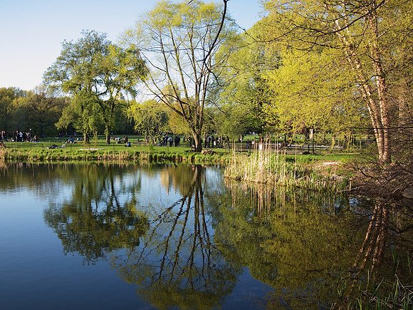 At Turtle Pond