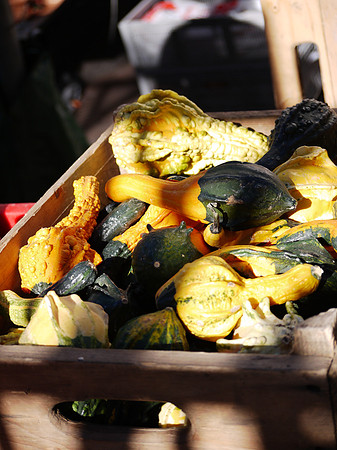 Out of their gourds