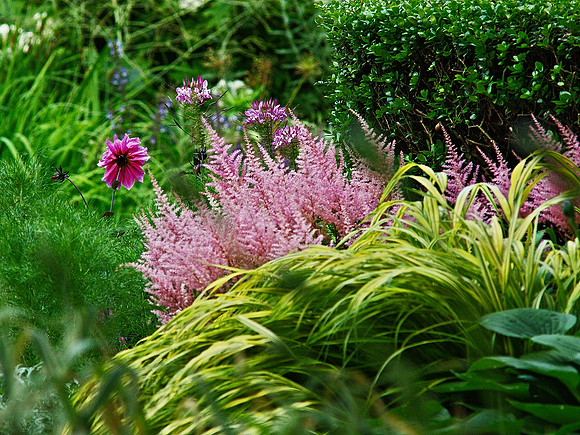 Central Park, Conservancy Garden, June