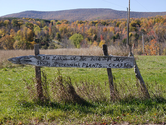 Roadside sign, Prattsville NY