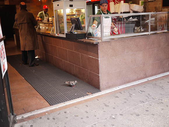Gimme a slice to go