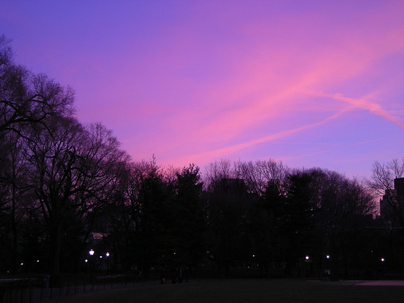 Great Lawn, dusk
