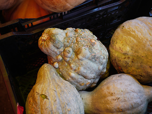 Gourds, Union Square greenmarket