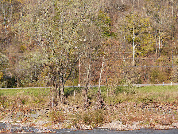 Greene County NY