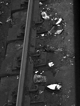 Subway tracks and rat