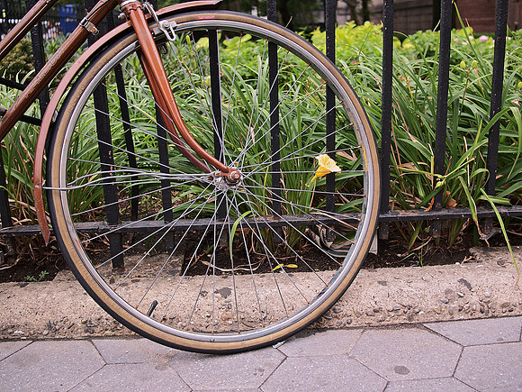 In the Wheel