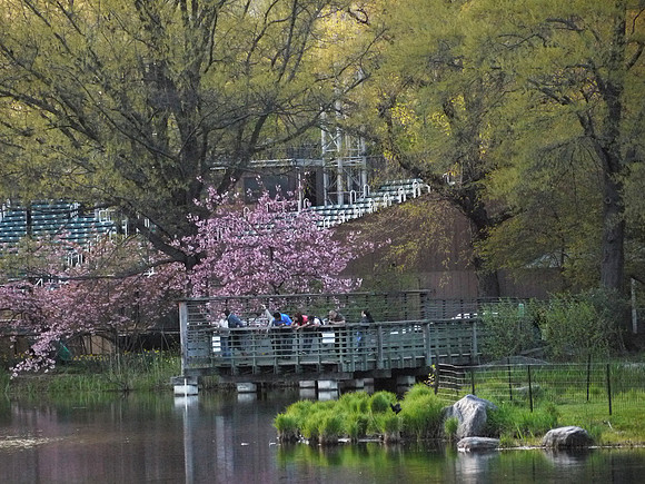 At Turtle Pond