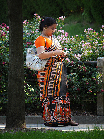 Brooklyn Botanic Garden