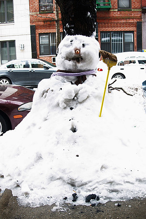 Snowtreeman