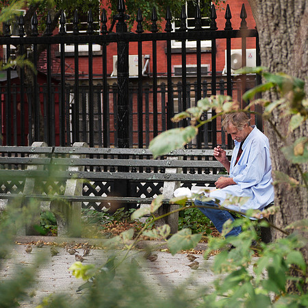 Lunch with the sparrows, Stuyvesant Square Park