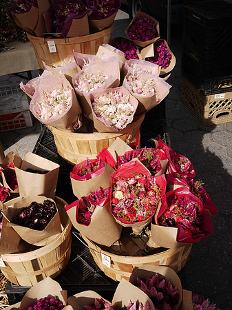 Flowers at the Greenmarket