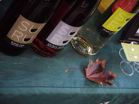 Wine bottles  and a leaf