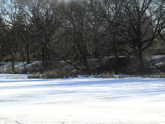 across Turtle Pond